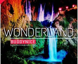 Buddynice – Wonderland (Redemial Mix)