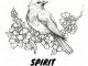 ALBUM: VA – Spirit Night (Zip File)