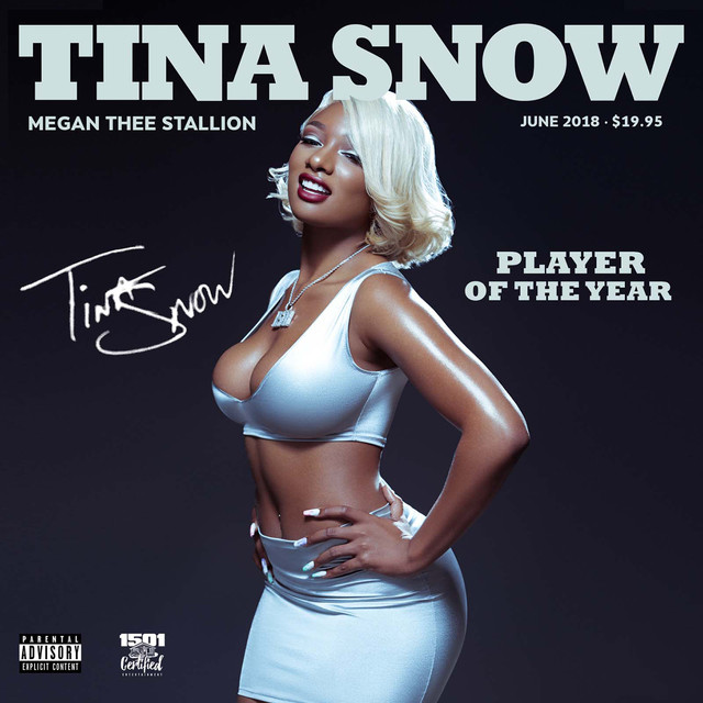 Megan Thee Stallion - Make a Bag (feat. Moneybagg Yo)