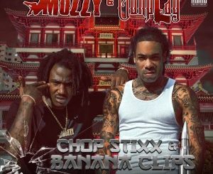 ALBUM: Mozzy & Gunplay – Chop Stixx & Banana Clips