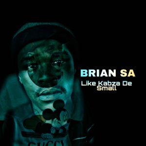 Brian SA – Like Kabza De Small