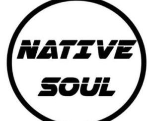 Native Soul – A Letter to Kabza De Small