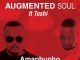 Augmented Soul & Toshi – Amaphupho (Extented Mix)