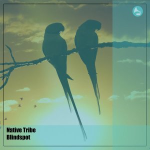 Native Tribe – Blindspot