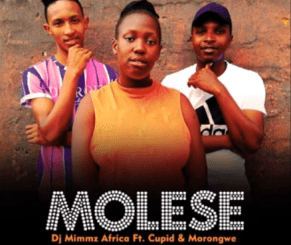 Dj Mimmz Africa – Molese Ft. Cupid & Morongwe (Original)