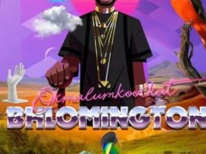 Okmalumkoolkat – Hawaiian Master 1 Ft. Da Les