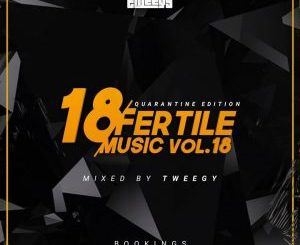 Tweegy - Fertile Music Vol. 18