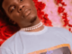 Tellaman – Snippet