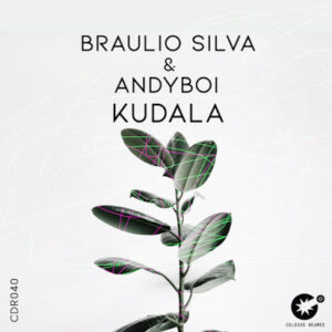 Braulio Silva – Kudala (Original Mix) Ft. Andyboi