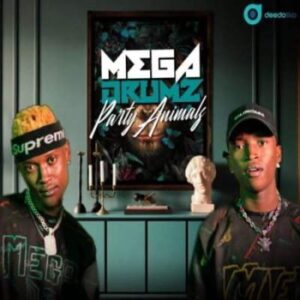 Megadrumz - Shake the Room Ft. DJ R-Voonah