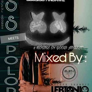 LebtoniQ – POLOPO 14 Mix (DSS Meets POLOPO Edition)