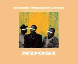 Robin Thirdfloor – Ndosi