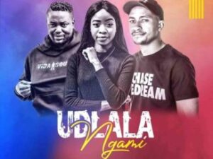 Villager SA – Udlala Ugami Ft. Nunicky & Vida Soul