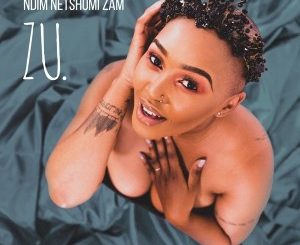 Zu – Let Me Go Ft. Stakev