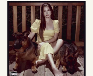 blue-banisters-lana-del-rey