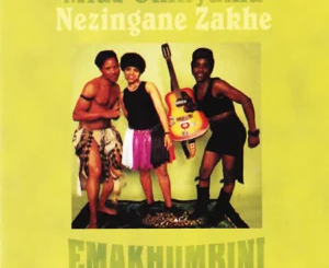 mfaz-omnyama-emakhumbini