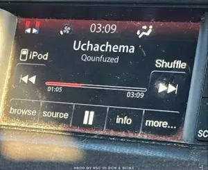 qounfuzed-–-uchachema