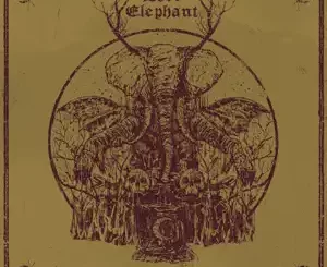 Cosmic-Awakening-Lord-Elephant