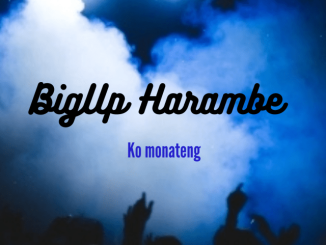 1663762727 DOWNLOAD-BigUp-Harambe-–-Danger-–.webp