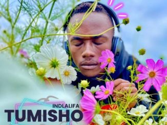 DOWNLOAD-Tumisho-–-Bring-Back-My-Guitar-ft-Lesedi-–