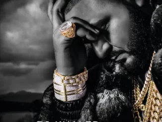 DJ Khaled - Suffering From Success (feat. Ace Hood & Future)