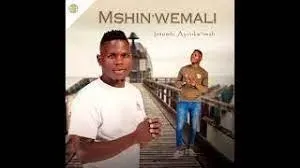 Mshinwemali - Intombi Ayinkw’imali