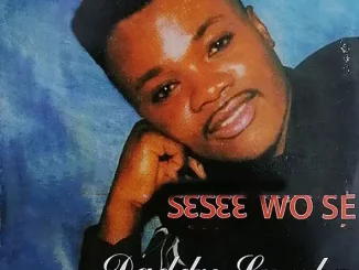 Daddy Lumba – Sesee Wo Se