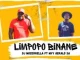 Dj Mozerrella - Limpopo Binane Ft. Nelly Master