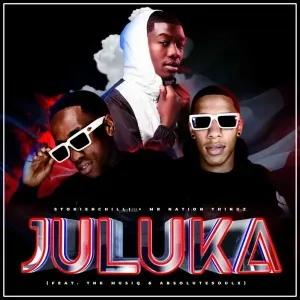 StokieNChilli - Juluka ft. Mr Nation Thingz, TNK MusiQ & Absolutesoulx