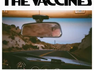 The Vaccines – Pick-Up Full Of Pink Carnations