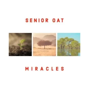 Senior Oat - For My Good ft Amor