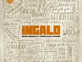 Frigid Armadillo, Atmos Blaq & Mthunzi – Ingalo (Radio Edit)