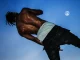 DAYS BEFORE RODEO Travis Scott