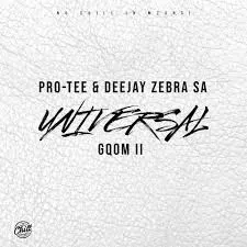 Protee & Deejay Zebra SA – Amsterdam