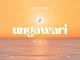 Supertonic – UNGAWARI